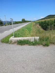 TEREN DE VANZARE PODIREI | 10 ARII INTRAVILAN | 48 ARII EXTRAVILAN - foto 3