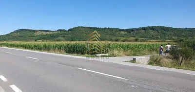 TEREN DE VANZARE PODIREI | 10 ARII INTRAVILAN | 48 ARII EXTRAVILAN - foto 4