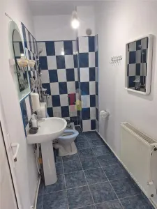Casa 4 camere, teren 190 mp, toate utilitatile, Brailita - foto 7