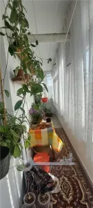 DOUA CAMERE DECOMANDAT  BLOC 1988 ZONA DACIA BULEVARD - foto 7