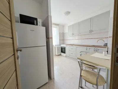 Apartament 2 camere Dristor – Camil Ressu | 50 mp | Renovat - foto 5