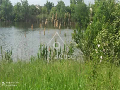Balta Pasarea,- teren investii  constructii, evenimente, agrement, camping - foto 12