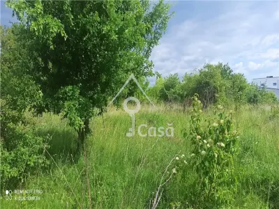 Balta Pasarea,- teren investii  constructii, evenimente, agrement, camping - foto 10
