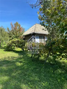 Teren, 48 ari, , cu casa batraneasca, Antoceni, Forasti, Suceava - foto 2