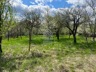 Teren, 48 ari, , cu casa batraneasca, Antoceni, Forasti, Suceava - foto 3