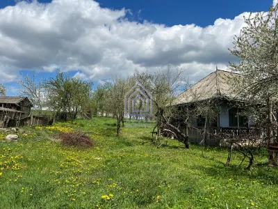 Teren, 48 ari, , cu casa batraneasca, Antoceni, Forasti, Suceava - foto 4