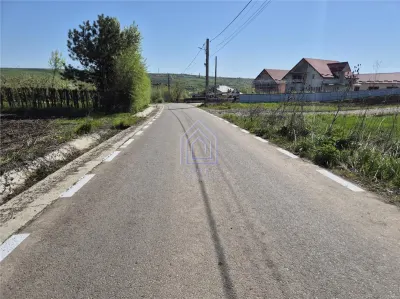 Teren intravilan Moara Bulai 51 ari - foto 5
