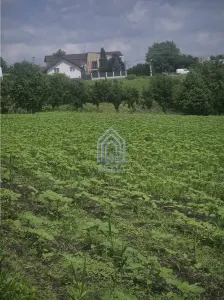 Teren intravilan Moara Nica - zona Scolii - foto 3