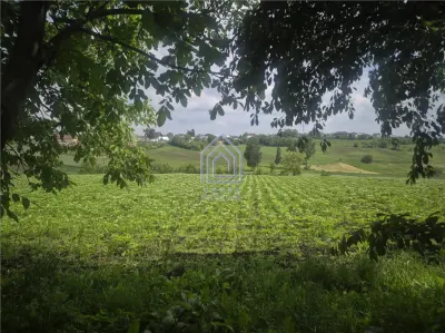 Teren intravilan Moara Nica - zona Scolii - foto 5