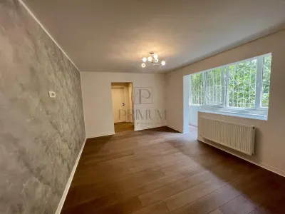 Gheorghe Lazar, apartament 2 camere, renovat, centrala proprie - foto 4