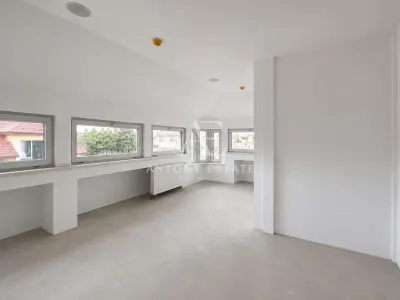 Antony Estate | Chirie Sp Comercial Central - Oradea - foto 3