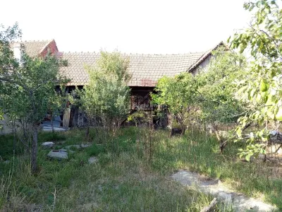 Berliste, Casa 6 Incaperi, 1129mp Teren, Pret Negociabil - foto 14
