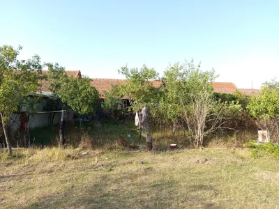 Berliste, Casa 6 Incaperi, 1129mp Teren, Pret Negociabil - foto 15