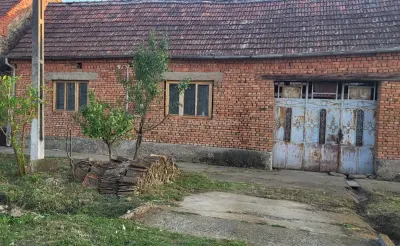 Berliste, Casa 6 Incaperi, 1129mp Teren, Pret Negociabil - foto 17