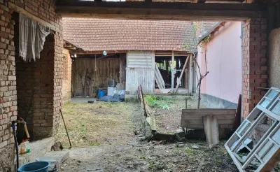 Berliste, Casa 6 Incaperi, 1129mp Teren, Pret Negociabil - foto 3