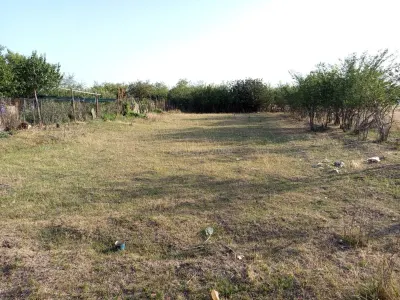 Berliste, Casa 6 Incaperi, 1129mp Teren, Pret Negociabil - foto 7