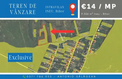 Antony Estate | Vanzare Intravilan 11eur/mp - Ineu, Bihor - Ineu