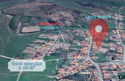 Antony Estate | Vanzare Intravilan 11eur/mp - Ineu, Bihor - foto 2