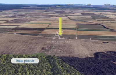 Antony Estate | Oportunitate de investitie - Teren Cihei, langa Padurea Nojorid - foto 2