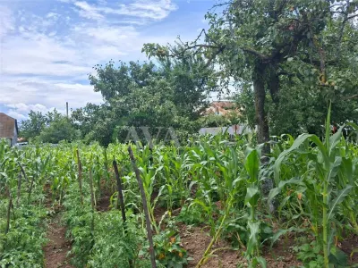 Teren intravilan 1000mp, zona Magura Sohodol - foto 4