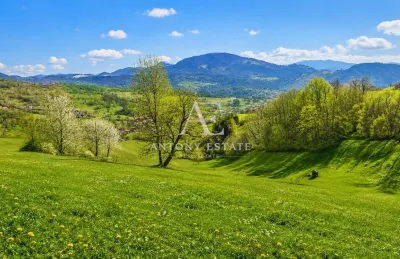 Antony Estate | Stejarul Rosiei - Casa traditionala de vanzare - foto 15