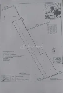 114000 mp. teren in parc industrial west - Aricestii Rahtivani