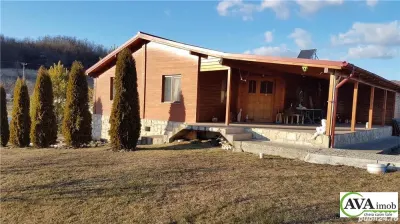 Podis, casa P+1, mobilata, teren 5600mp - foto 4