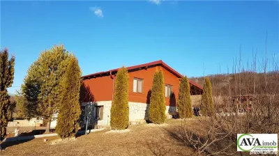 Podis, casa P+1, mobilata, teren 5600mp - foto 5