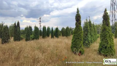 Izvoare, teren intravilan 2638 mp, imprejmuit - foto 10