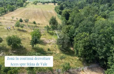 Antony Estate | Oportunitate investitionala - Proprietate Ho.Re.Ca - Budureasa, Bihor - foto 8