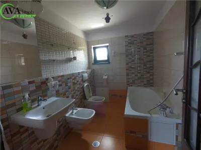 Vila P+1+M, 350 mp, 6 camere, teren 1947 mp, zona Nicolae Balcescu Sarata - foto 16