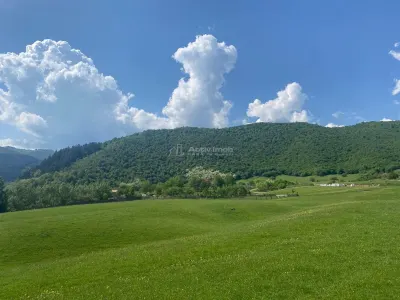 Teren de vanzare cu toate utilitatile la poarta - foto 4