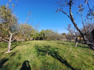 Teren de vanzare cu toate utilitatile la poarta - foto 6