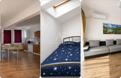 Antony Estate|Chirie 4 camere,Sanmartin - Bihor - foto 13