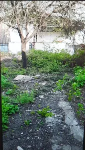 Teren pentru casa-Bucurestii Noi-pozitie foarte buna - Bucuresti