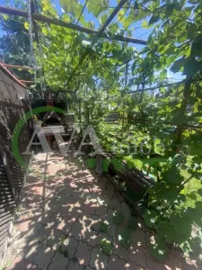 Casa P+1, 4 camere, teren 760 mp, zona Tache - foto 17