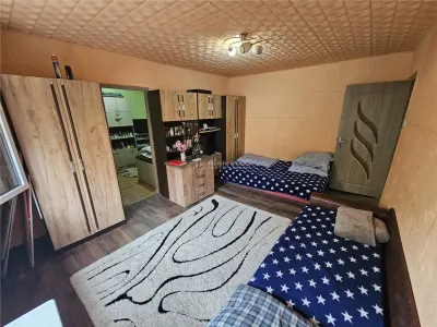 Resita, 2 Cam. Mobilat+Utilat, Parter, Micro 1 - foto 12