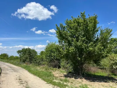 Lugoj Teren  5.300 Mp., Dealul Viilor,  Priveliste Impresionanta - foto 12