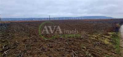 Teren intravilan 1250 mp, zona Hemeiuș - foto 3