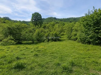 Teren  pentru cabana la liziera padurii Talmaciu - foto 2