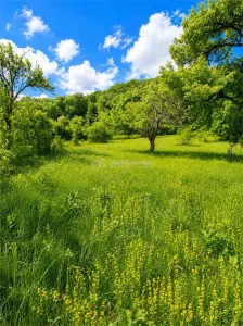 Teren  pentru cabana la liziera padurii Talmaciu - foto 5