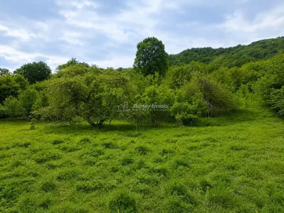 Teren  pentru cabana la liziera padurii Talmaciu - foto 6