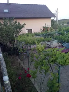 Casa pe malul lacului Paleu – teren 510 mp -  priveliste  deosebita - foto 2