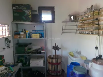 Casa pe malul lacului Paleu – teren 510 mp -  priveliste  deosebita - foto 14