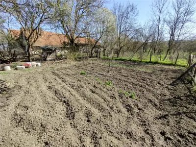 Rachitova, Casa 8 Incaperi, 3800mp Teren, Usor Negociabil - foto 8