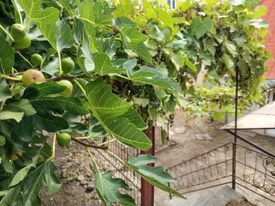 Oravita, Casa la Cheie, 7 Incaperi, Posibilitate Mansardare, Pret Negociabil - foto 11