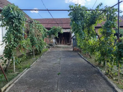 Naidas, Casa 7 Incaperi, 842mp Teren, Pret Negociabil - foto 17