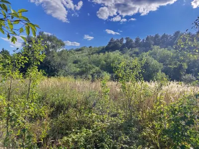 Naidas, Casa 7 Incaperi, 842mp Teren, Pret Negociabil - foto 20