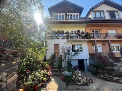 Caransebes, Casa P+1+2+M, Zona ACR - foto 19