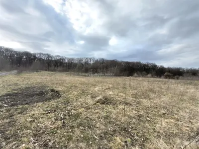 Teren 1000 mp de vanzare la Liziera Padurii - foto 2